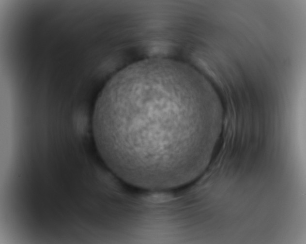 X0000092300619200709211232