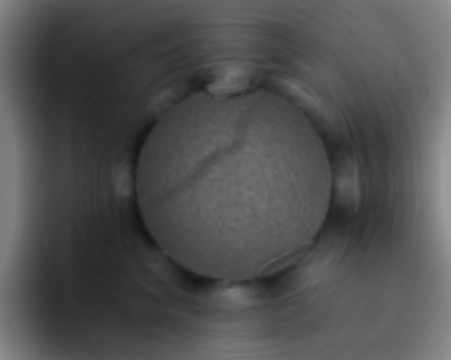 X0000092300620200709211232