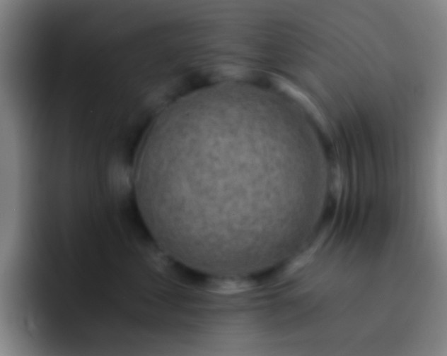 X0000092300621200709211232