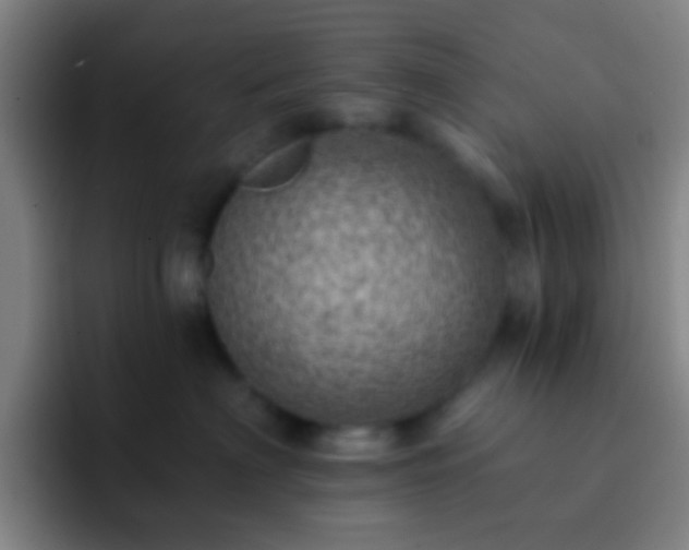 X0000092300622200709211232