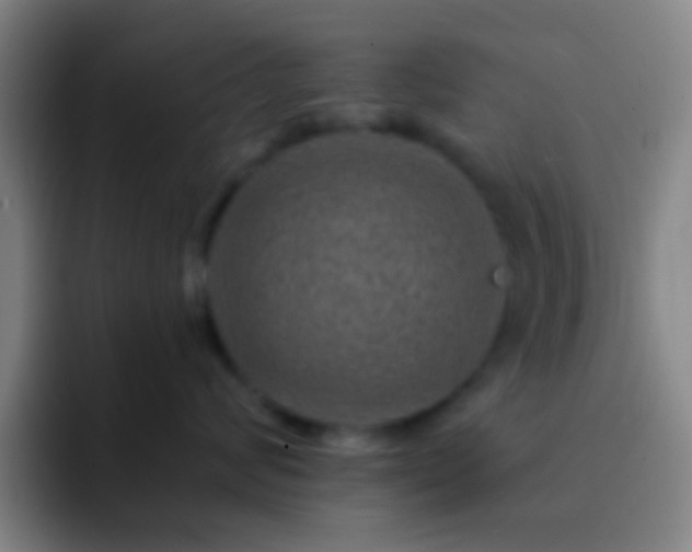 X0000092300624200709211232