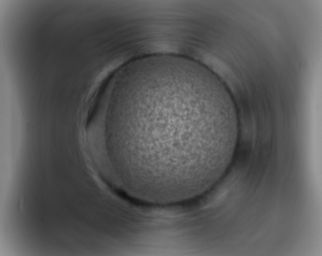 X0000092300625200709211232