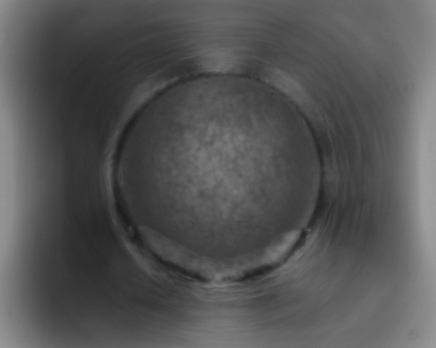 X0000092300626200709211232