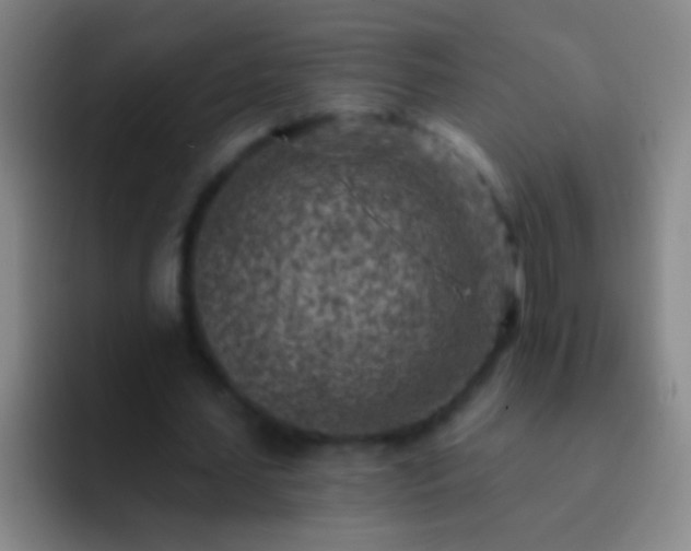 X0000092300627200709211232