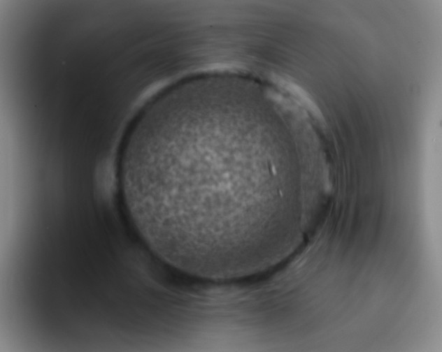 X0000092300628200709211232