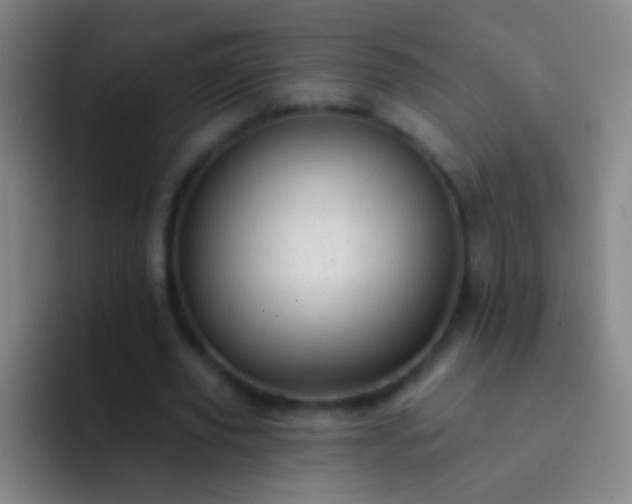 X0000092300629200709211232