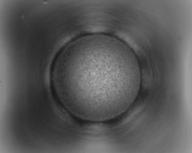 X0000092300631200709211232
