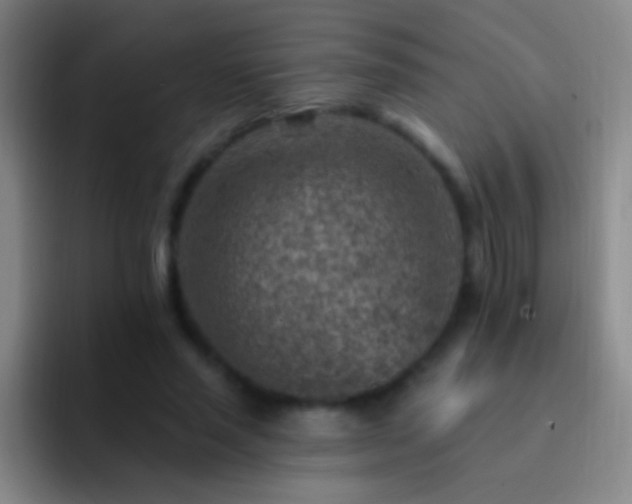 X0000092300637200709211232
