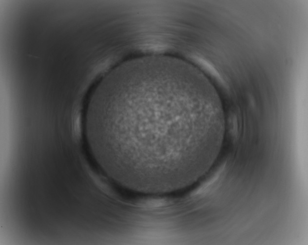 X0000092300638200709211232