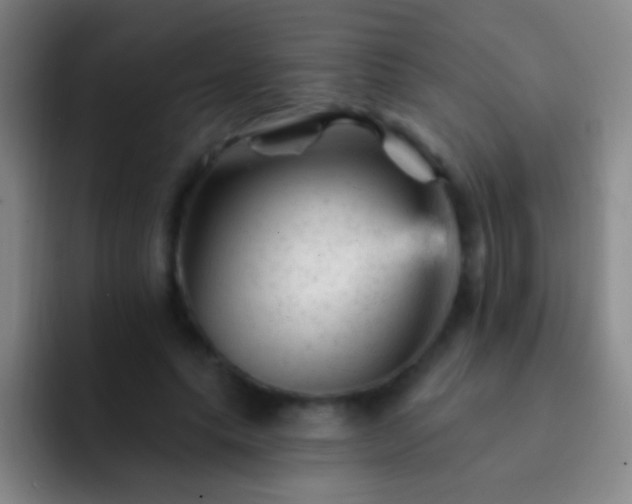X0000092300639200709211232