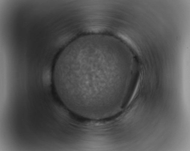 X0000092300640200709211232