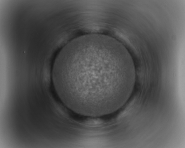 X0000092300642200709211232