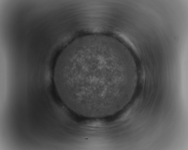 X0000092300643200709211232