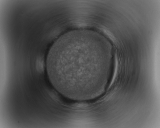 X0000092300644200709211232