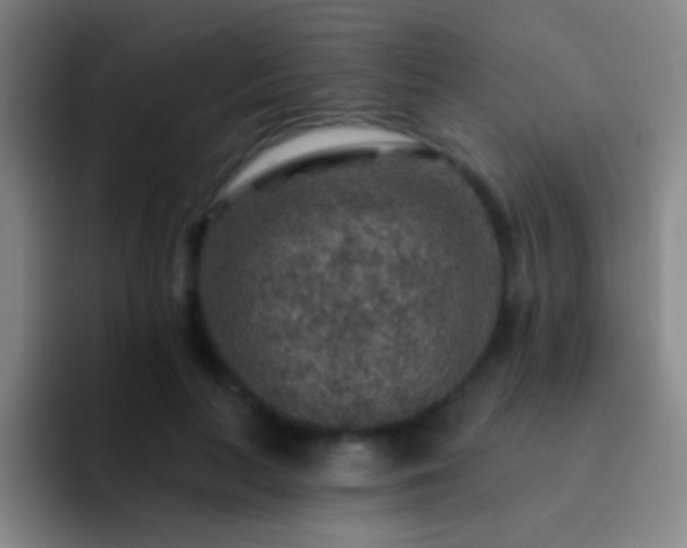 X0000092300647200709211232