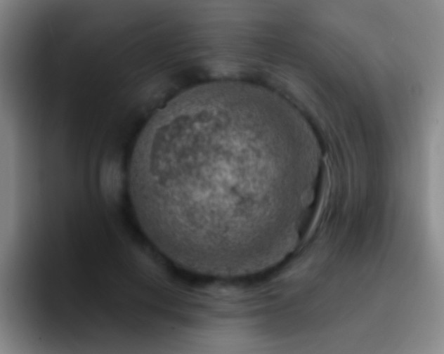 X0000092300648200709211232