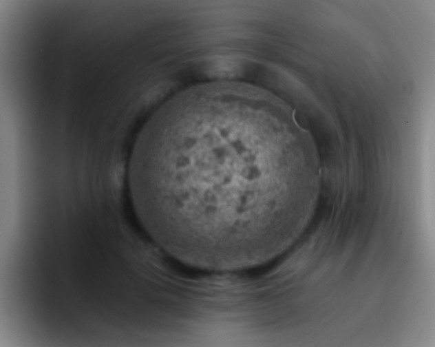 X0000092300652200709211232
