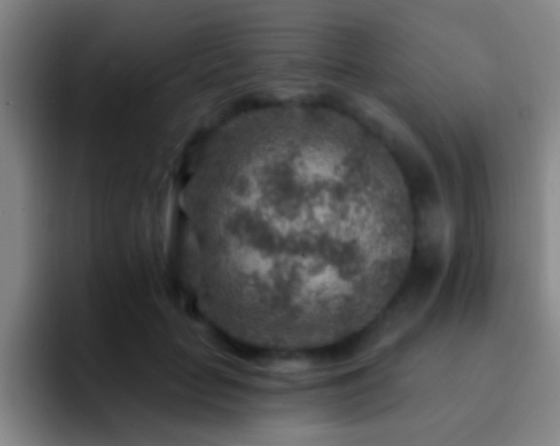 X0000092300653200709211232