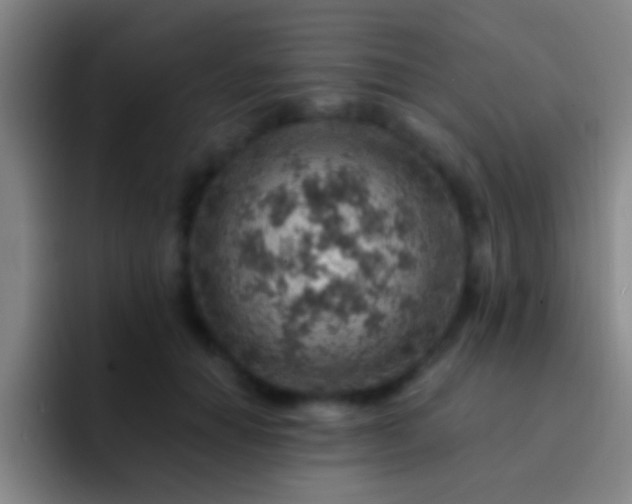X0000092300654200709211232