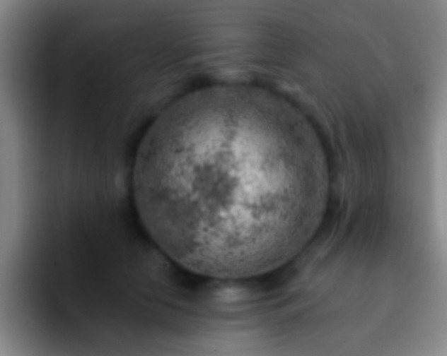 X0000092300658200709211232