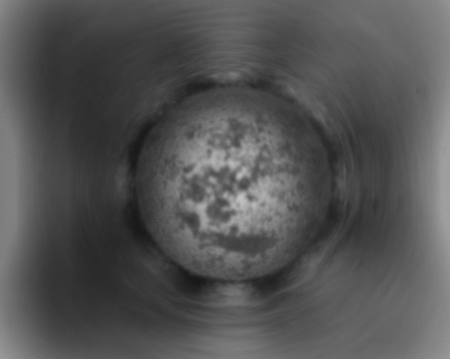 X0000092300659200709211232