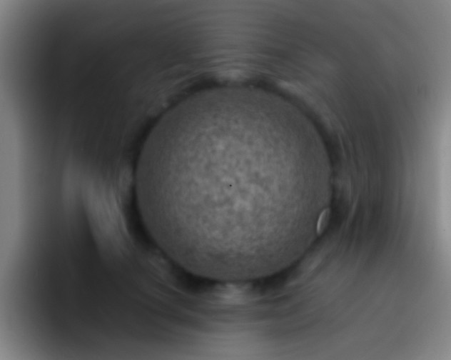 X0000092300660200709211232