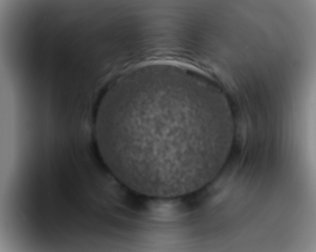 X0000092300661200709211232