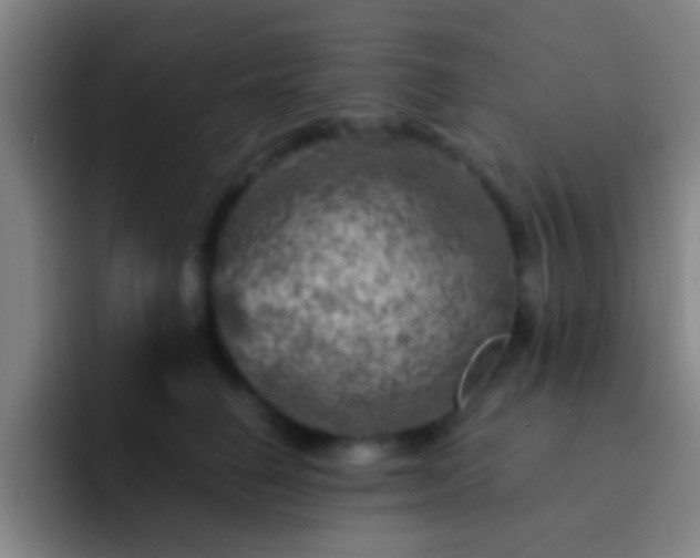 X0000092300662200709211232