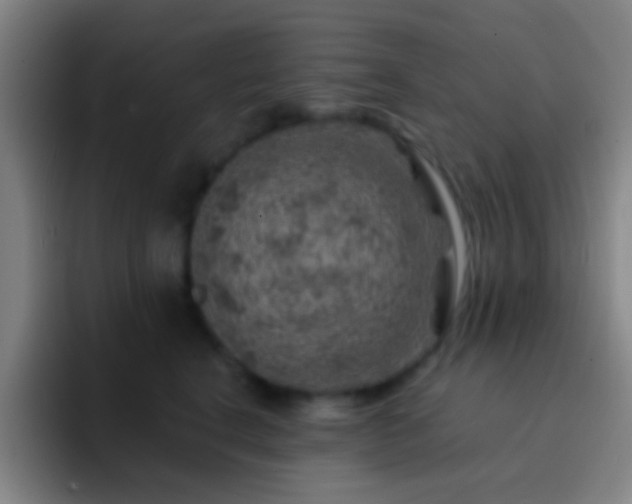 X0000092300664200709211232