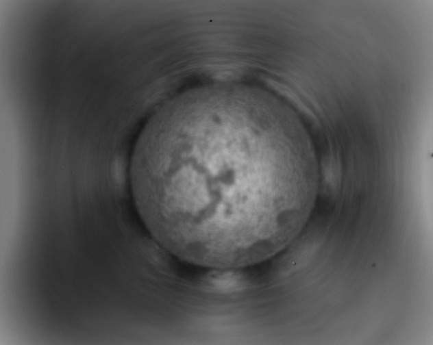 X0000092300667200709211232