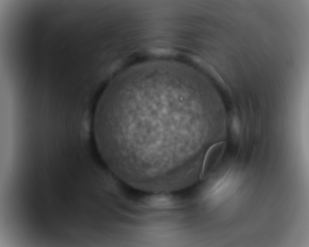 X0000092300668200709211232