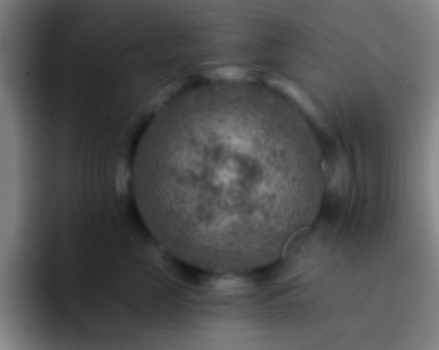 X0000092300669200709211232