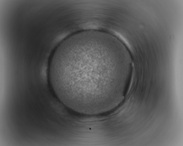 X0000092300675200709211231