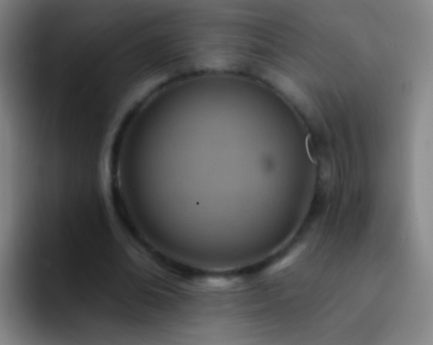 X0000092300678200709211231