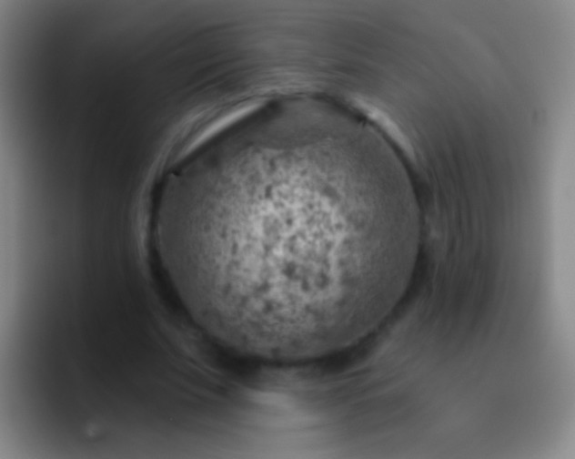 X0000092300679200709211231