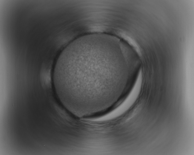 X0000092300681200709211231