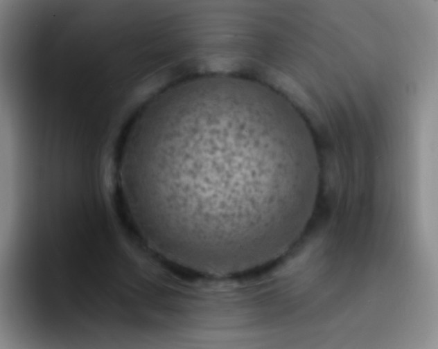 X0000092300683200709211231
