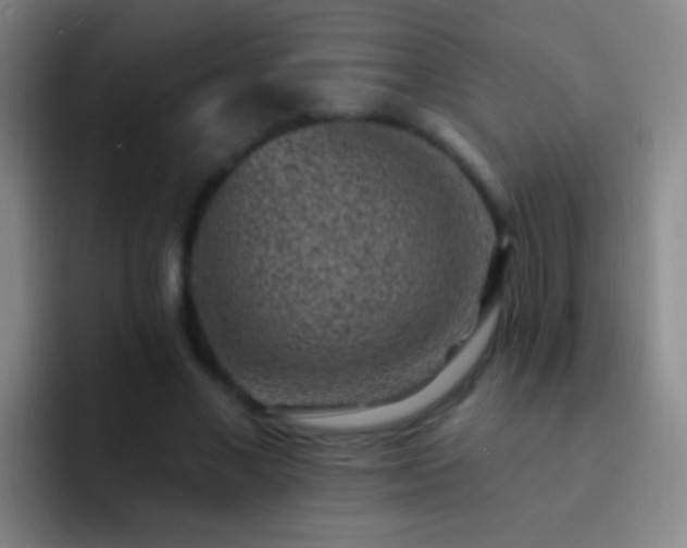 X0000092300685200709211231