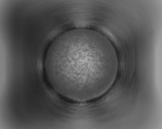 X0000092300687200709211231