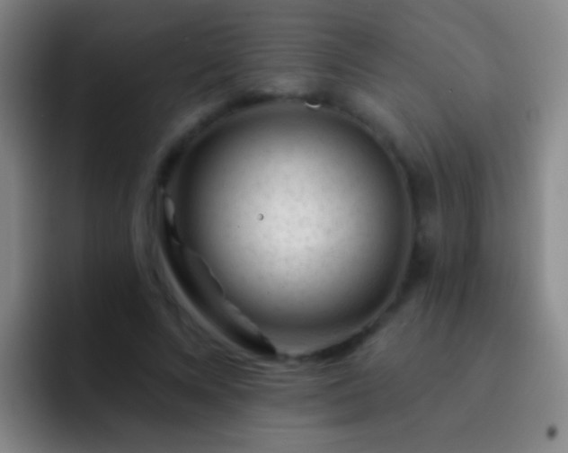 X0000092300688200709211231