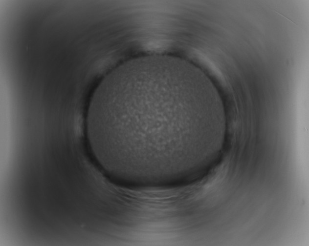X0000092300689200709211231