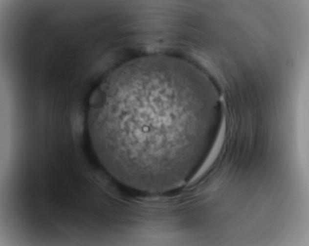 X0000092300691200709211231