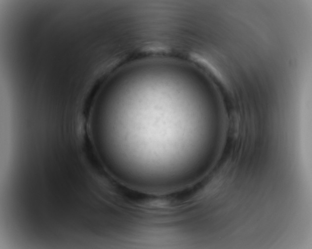 X0000092300692200709211231