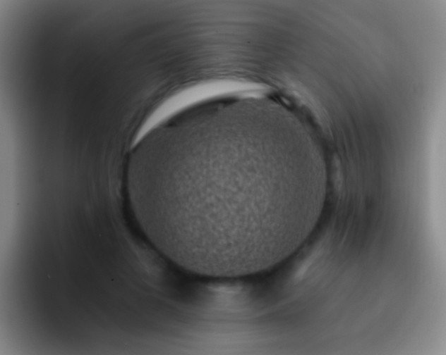 X0000092300693200709211231