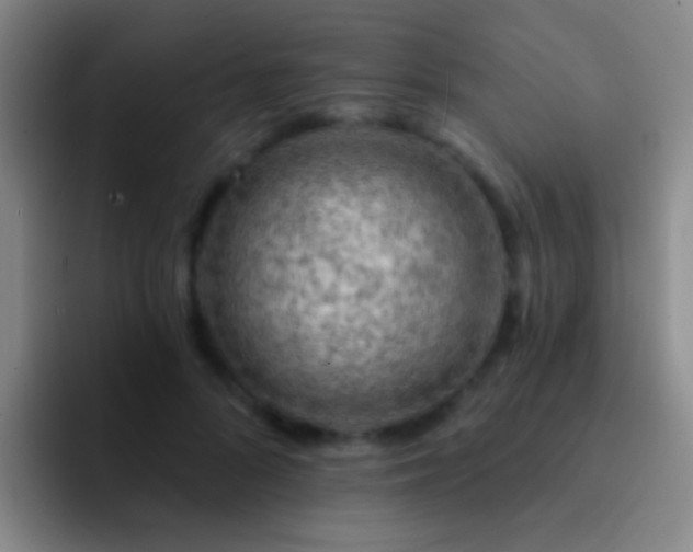 X0000092300696200709211231