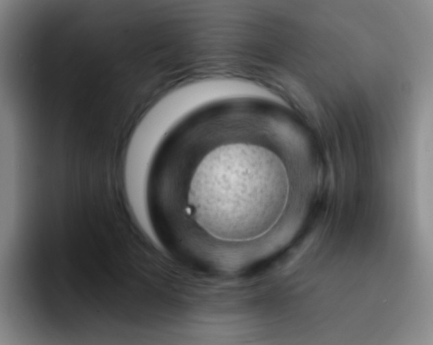 X0000092300697200709211231