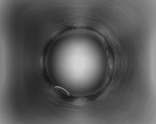 X0000092300700200709211231