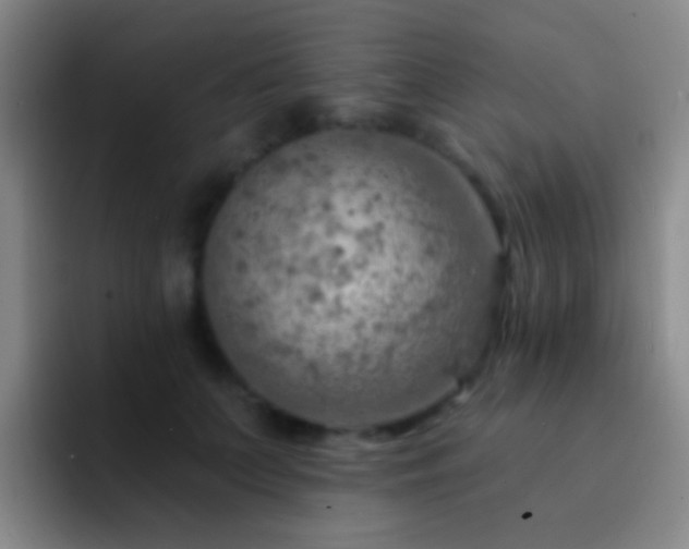 X0000092300703200709211231