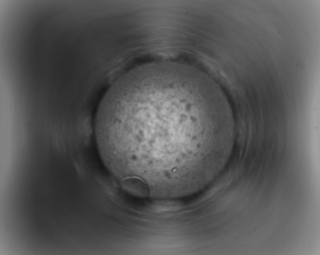 X0000092300707200709211231