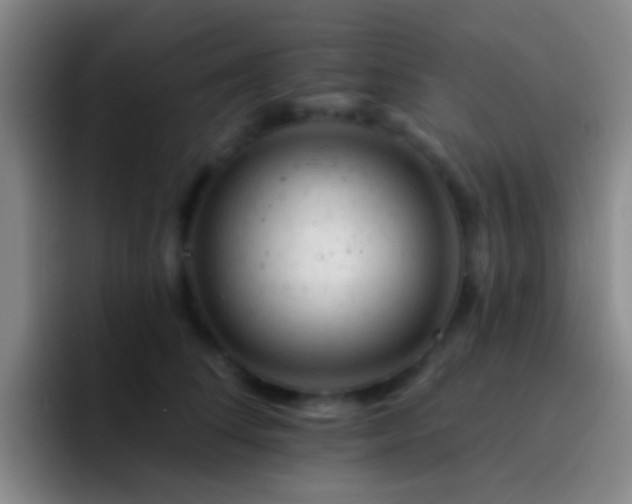 X0000092300708200709211231